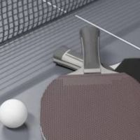 ピンポンとんだ（PingPongTonda）