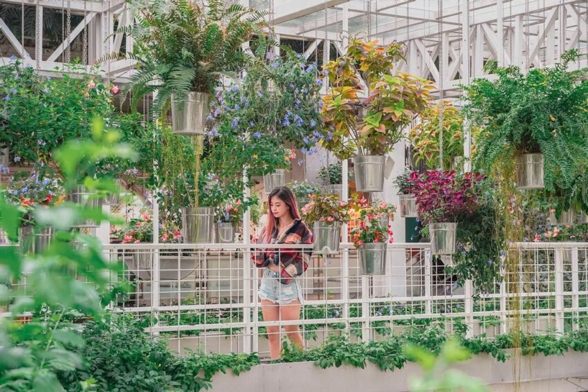 宜蘭室內景點 香草菲菲