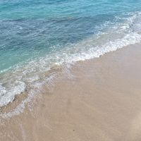 独身貴族のｷｬﾘｱｳｰﾏﾝ