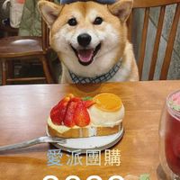 愛派團購/代購