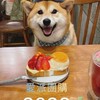 愛派團購/代購