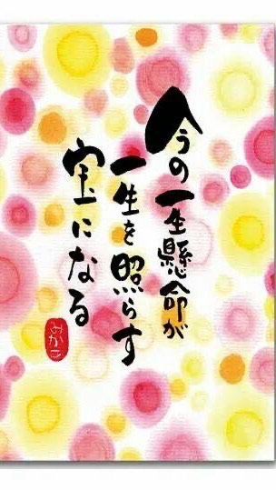 取次店  Plan Bee946から