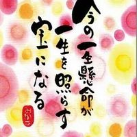 取次店  Plan Bee946から
