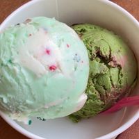 バウンティ🍨