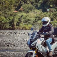 🛵永隆綿羊基地