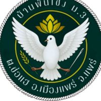 PCN 3