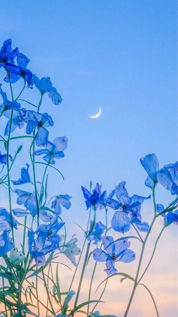 精神疾患者🌿憩いの場