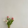 又蒔韓國棉被代訂