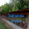 อิ๋ว ลำปาง