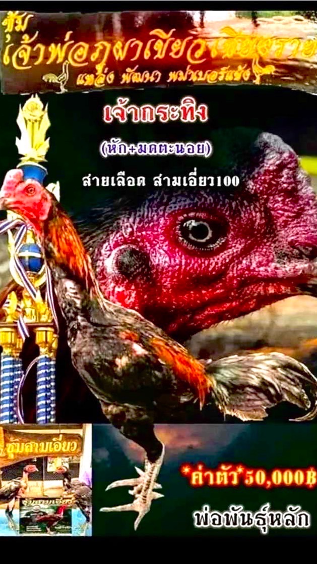 ทีมเจ้าพ่อภูผาเขียวเชียงราย