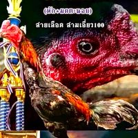 ทีมเจ้าพ่อภูผาเขียวเชียงราย