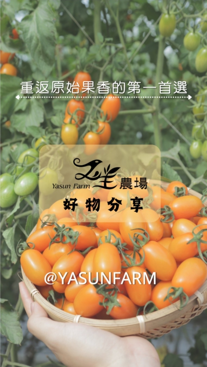 又生✖️好物分享🙌🏻