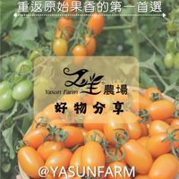 又生✖️好物分享🙌🏻