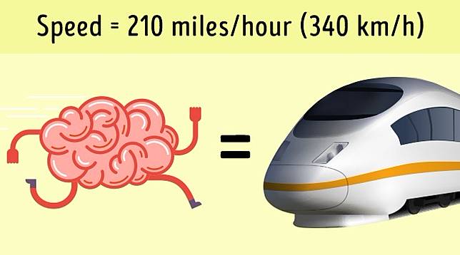 8 Fakta Tubuh