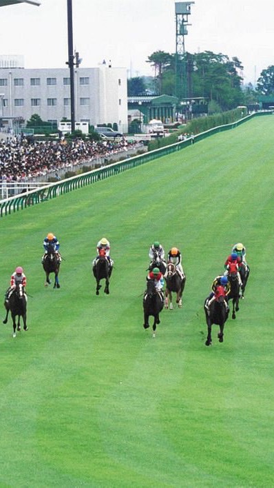 OpenChat 武田優駿　魂馬券　8/8土曜日限定馬🐴