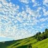 處關係🍁交際する、関係を築く💫 交男女朋友⚡️