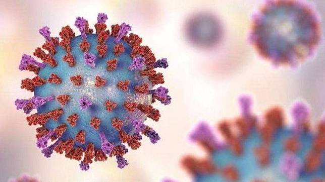圖／翻攝自CoronaVirus Breaking News推特