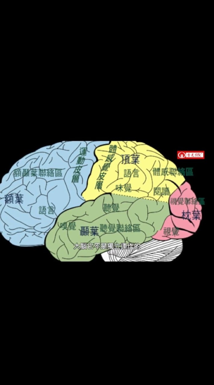 大腦開發身心靈療癒