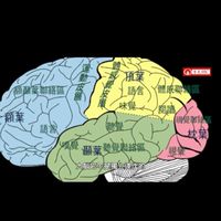 大腦開發身心靈療癒