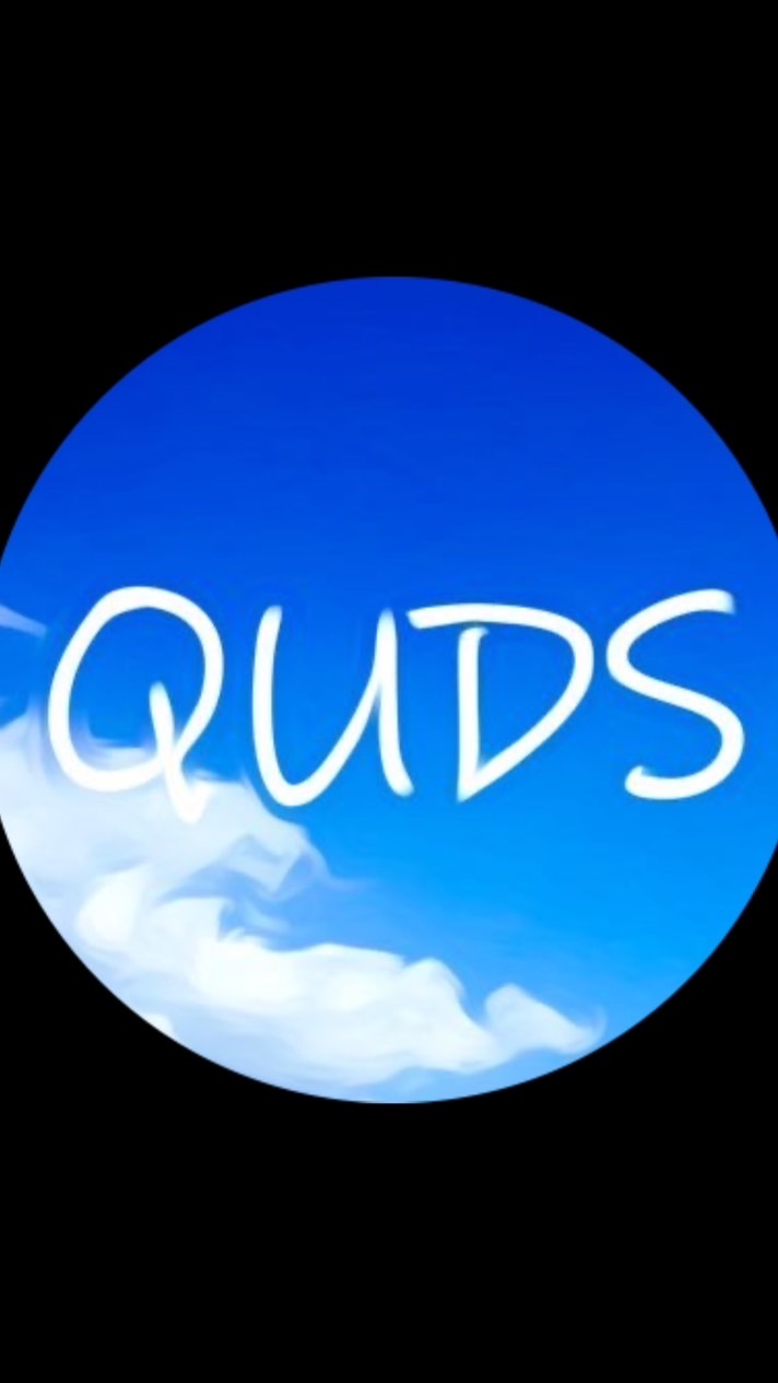 QUDS '24  新歓