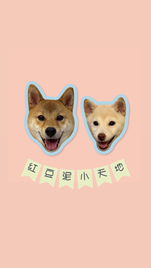 紅豆泥小天地💜