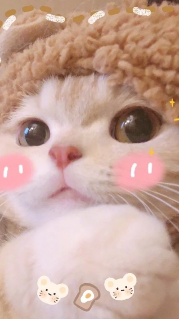 o(*////▽////*)q