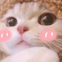 o(*////▽////*)q