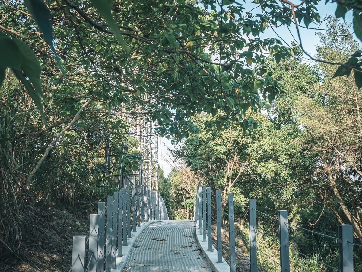 騎車就能到！樹林「木棧道觀景台」整修再開放，180度視野飽覽新北美景