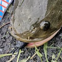 宜蘭雷強交流社