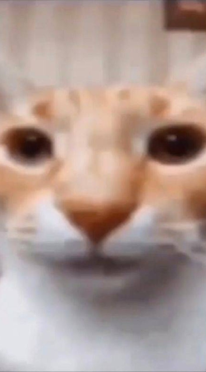 Floptropica Group 💅