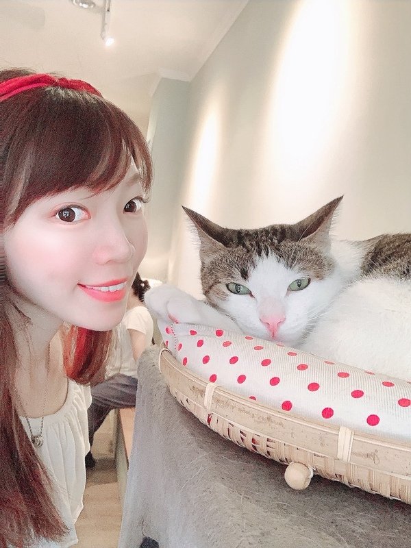 「花蓮旅遊」花蓮租車三天二夜輕旅行自駕遊，盛夏消暑追鯨趣-花蓮永宬租車，老時光燒肉酒肴，欣欣麵館不是麵店，小花公寓民宿與窩WOW青年旅館直擊分享