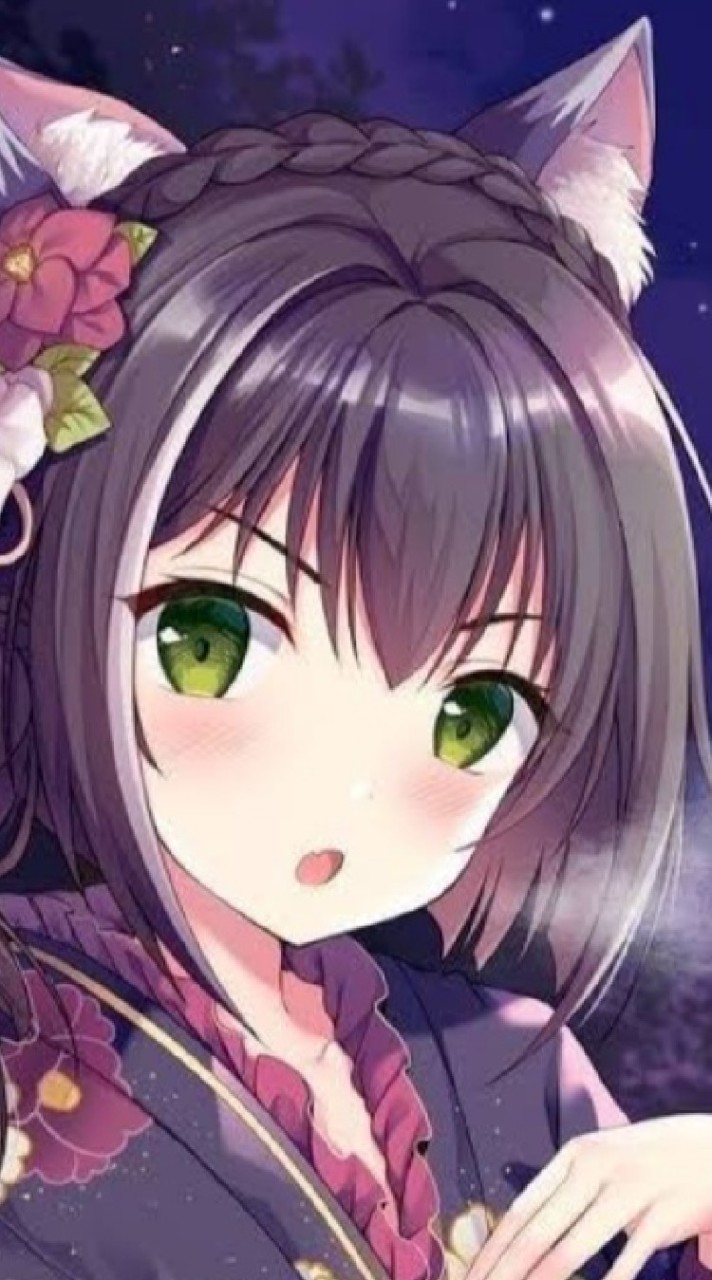 ชมรมคนชอบดูอนิเมะ⨀⋁⨀