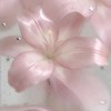 กรีกโยเกิร์ตม.กรุงเทพBU💖🥛🍓🫐