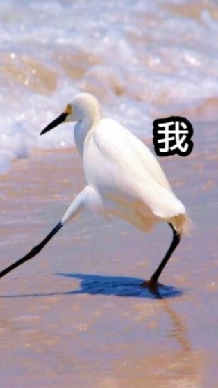 大大，截稿啦