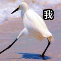 大大，截稿啦