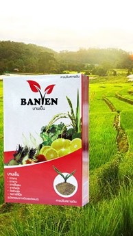 บานเย็น Banyen ปรับสภาพดิน เพิ่มผลผลิตคู่เกษตรไทย