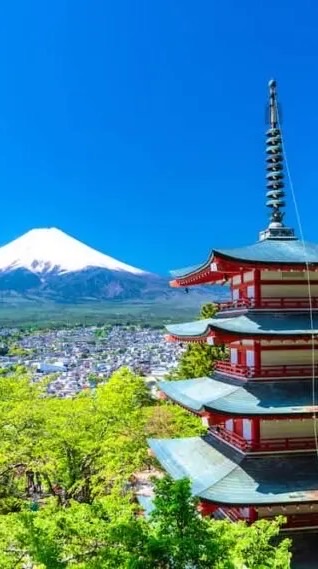 高速公路日本代購