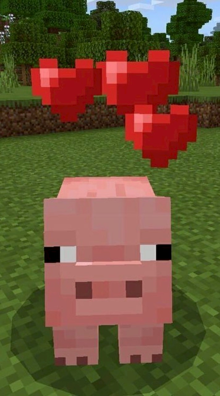 หมูทะะ🐷🐷