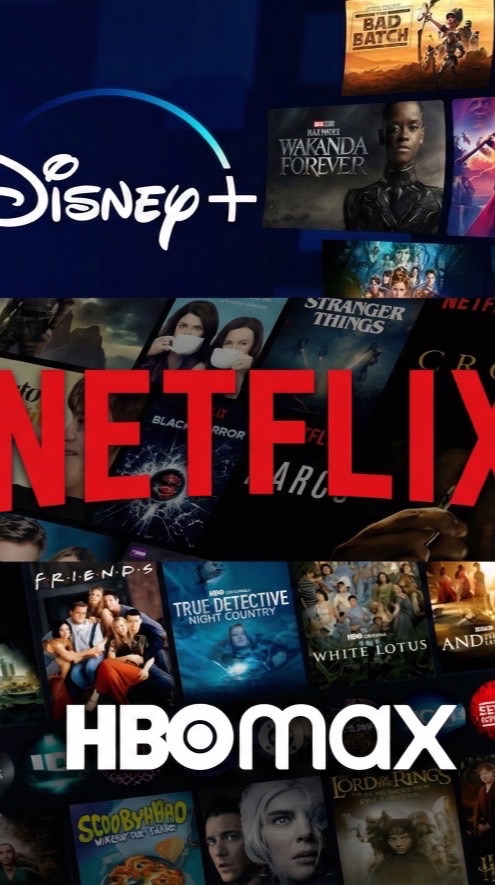 Netflix、Disney+、HBO max、YT共享合租區