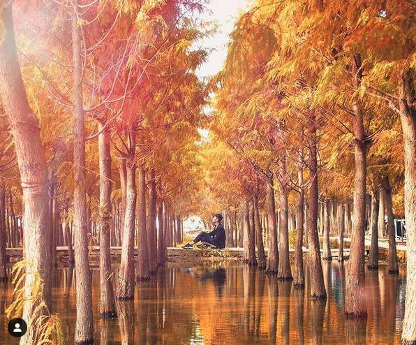 圖片來源：IG @hsuanheng.1216