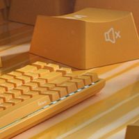 Ducky 非官方愛好粉絲社群 #DuckySquad
