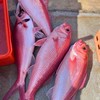 大仁哥海鮮買賣群