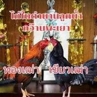 ซุ้มลูกน้ำกว๊านพะเยา