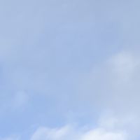 わいてだけハントOC　(　再建　)