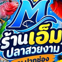 ร้านเอ็มปลาสวยงามณ.ปากช่องอัพเดทปลา