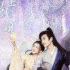 追劇追星小窩