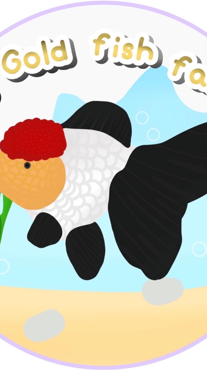 PB Goldfish farm🐠