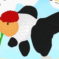 PB Goldfish farm🐠