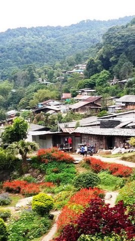 CHAINGMAI TRIP