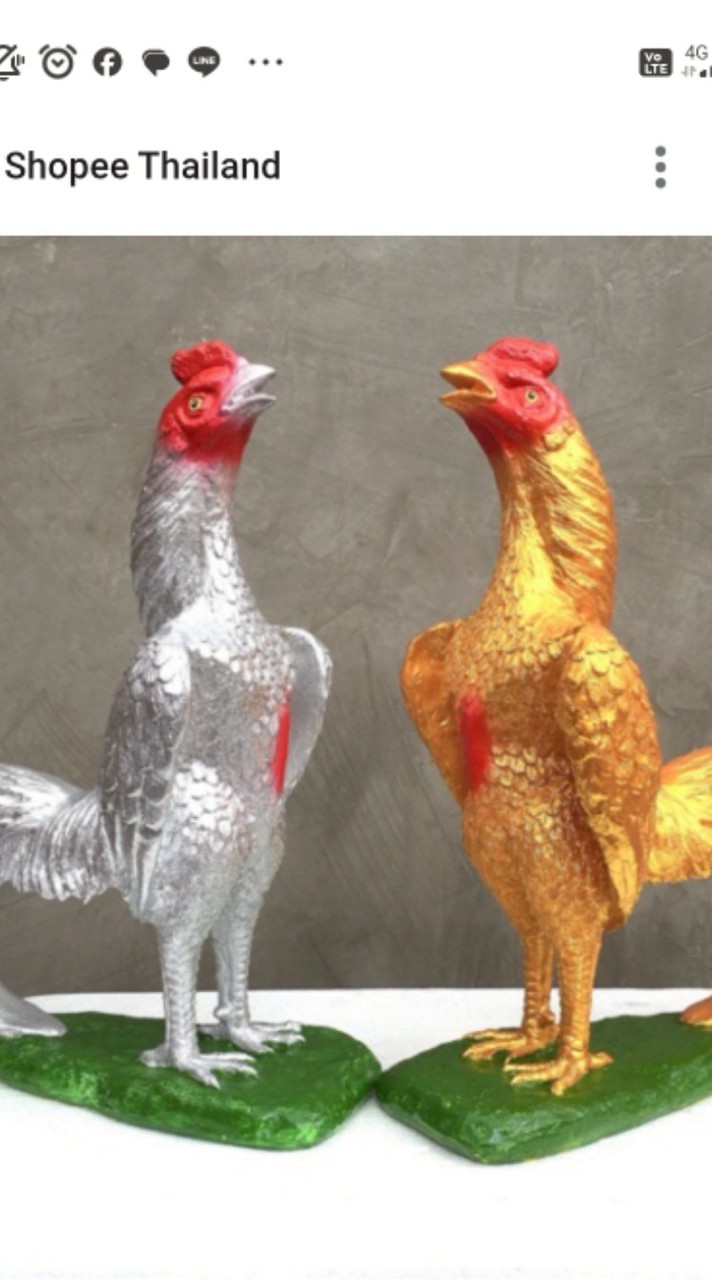นัดซ้อมไก่